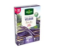 Haricot Nain Violet Velour - 20 m