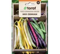 Haricots, mélange de différentes variétés, gousses de différentes couleurs, graines 40 g