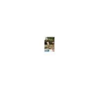 HARRIS - Ensemble de 2 chaises de jardin Java en bois Teck