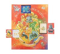 Harry Potter Advent Calendar 2021 (Pp9013hp)