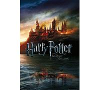 Harry Potter and the Deathly Hallows Poster maxi 61 cm x 91.5 cm C'est la fin d'une Ère