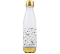 Harry Potter Bouteille d'eau Enfants Hedwig Lettre Hibou 600ml Boissons Plastic taille unique