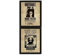 Cadre 3D lenticulaire Pyramid Harry Potter Sirius Beige 23,3x3,9x28,4 cm