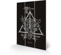 HARRY POTTER - Deathly Hallows - Impression sur bois 20x29.5 G