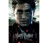Harry Potter - Deathly Hallows part2 - 30x40cm - AFFICHE G