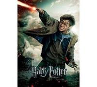 Harry Potter - Deathly Hallows part2 - Want - 30x40cm - AFFICHE G