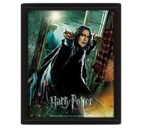 Harry Potter - Deathly Hallows - Poster Lenticulaire 3d 26x20cm