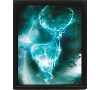 Harry Potter Encadré Effet 3D Poster Pack Expecto Patronum 26 X 20 Cm (3) Pyrami