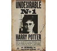 Harry Potter GB Eye LTD, Poster, 61 x 91,5 cm