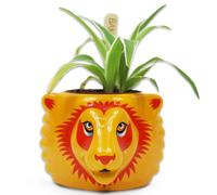 Harry Potter Gryffindor Vase pour Plantes Gryffondor Plant Vase Half Moon Bay