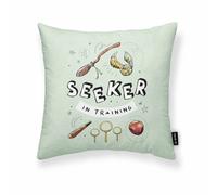 Harry potter Harry Potter Seeker - 45x45 cm - Gris clair