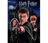 Harry Potter (Harry Ron Hermione 40 x 50 cm Toile Imprimée