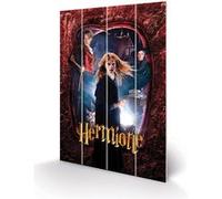 HARRY POTTER - Hermione - Impression sur bois 40x59cm G