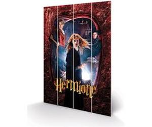 HARRY POTTER - Hermione - Impression sur bois 40x59cm G