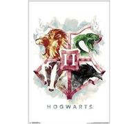 Harry Potter - Hogwarts Illustrated - AFFICHE G
