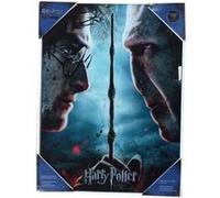SD Toys Poster Harry Potter et Voldemort, Multicolore, 41 x 31 x 3 cm