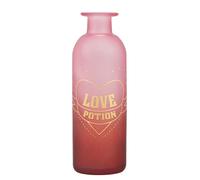Home Media Box - Vase en verre Half Moon Bay Harry Potter - 16 cm - Potion d'Amour