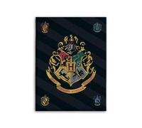 Harry Potter - Plaid En Polaire 100x140cm