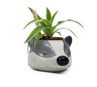 Harry Potter Pot de Fleurs Poufsouffle Harry Potter