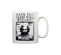 Pyramid International Tasse HARRY POTTER - Wanted Multicolore 11 oz/315 ml