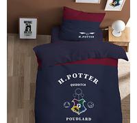 Harry Potter WB Stripe Parure de lit imprimée 100% Coton Licence Officielle | Housse de Couette 140x200 cm + 1 taie 63x63 cm | Fermeture avec rabat | Chambre enfant, lit 1 place | Certification Oeko-Tex