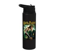 Harry Potter WBUHPT01 - Produit officiel WBUHPT01 Stainless Steel Insulated Water Bottle