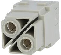 HARTING Han 100 ampères module insert femelle (F) raccordement axial à vis, 2 pôles 1000 V, 100 A - 1 pièce