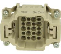 HARTING Han 24DD HMC insert mâle (M) connexion serti, 24 pôles + PE 250 V, 10 A - 1 pièce