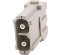 HARTING Han 40 ampères module broche (M) raccordement axial à vis, 2 pôles 1000 V, 40 A - 1 pièce