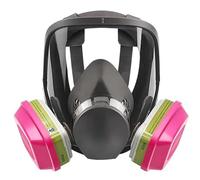 Haslbeck Masque Respiratoire, Masque Respiratoire RéUtilisable 6800 avec Filtres, AntibuéE, Respirateur Contre les Vapeurs Organiques