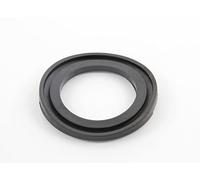 Hayward - Adaptateur d'étanchéité pour Filtre à Sable Pro Side - Noir - SX0244DE