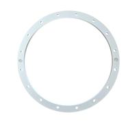 Hayward - Bride pour projecteur de Piscine Kripsol - Blanc - 500615001500