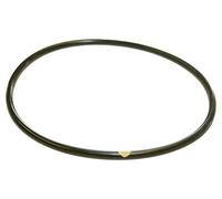 Hayward Clx200 K piscine Chlorinateur Couvercle Joint torique pour CL200/Cl220