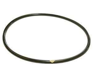 Hayward Clx200 K piscine Chlorinateur Couvercle Joint torique pour CL200/Cl220