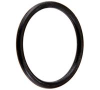 Hayward CX250Z7 Joint torique pour Filtre à Cartouche Star-Clear II