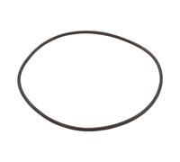 Hayward CXFHR1001 O-Ring pour la tête de Filtre