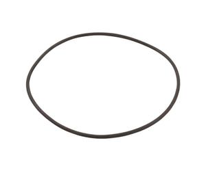 Hayward CXFHR1001 O-Ring pour la tête de Filtre