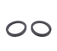 Hayward CXGAR1001PAK2 Joint torique pour Adaptateur de manomètre et purgeur d'air - Jeu de 2