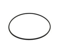 Hayward Dex2422z2 Métal renforcé filtre Joint de remplacement pour certaines Hayward filtres