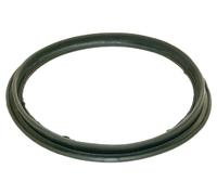 Hayward Ecx1105 diaphragme Joint d'étanchéité pour filtre de piscine de remplacement (Ec65/Ec65 a/Ec75/Ec75 a)
