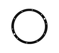 Hayward - Joint de Bride pour projecteur de Piscine SP0512 Eurolite - SPX0506DE