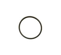 Hayward - Joint torique Ampoule pour projecteur de Piscine - Ø 9,3 cm - Noir - PRX20007