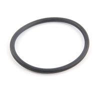 Hayward - Joint torique d'adaptateur pour Filtre à Sable de Piscine - SX0244DE1