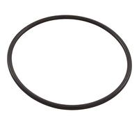 Hayward Joint torique de rechange SPX1500P pour filtre certaines pompes
