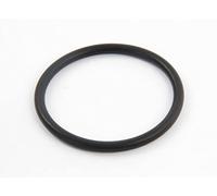 Hayward - Joint torique Plat de traversée pour Filtre à Sable Side de Piscine - Noir - SX0360Z1