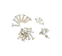 Hayward - Lot de 30 vis pour Skimmer de Piscine paroi Mince - SKPMXVS