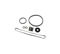 Hayward - Pack de Joints pour Pompe de Filtration de Piscine Max Flo - SPX1800GS