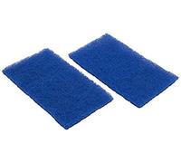Hayward Filtres de nettoyage à ressort RCX70103PAK2 pour Tigershark et SharkVac - Lot de 2