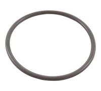 Joint torique de couvercle de préfiltre de pompe de piscine Max-Flo XL - SPX2300Z4 - Hayward
