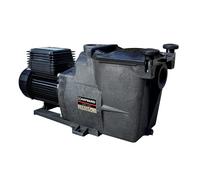 Super Pump 2 cv Tri - 2" de Hayward - Pompe piscine